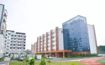 中专医学生个人总结5篇