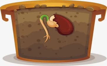 梦的种子作文5篇