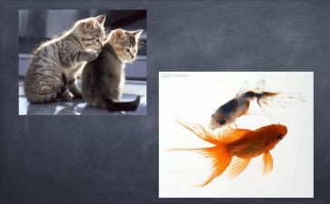 状物优秀作文优质5篇