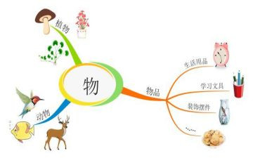 状物优秀作文7篇