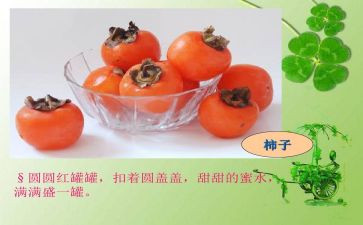 植物状物作文8篇