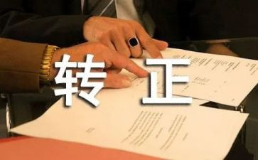转正期工作总结优秀7篇