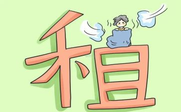 土地转租赁合同模板5篇