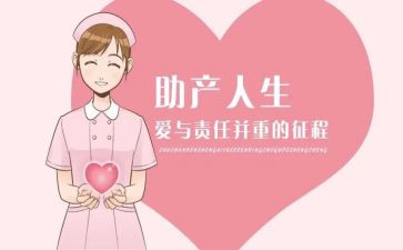 助产长个人总结7篇
