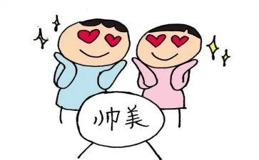 反追星的作文6篇