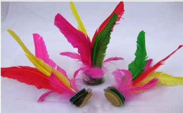 踢毽子的活动方案6篇