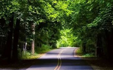 安全生产自检自查报告优质5篇