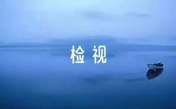 统计自检自查工作报告6篇