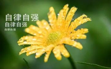 自强不息类的演讲稿精选7篇