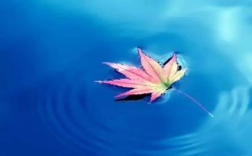 读大自然的书心得体会7篇