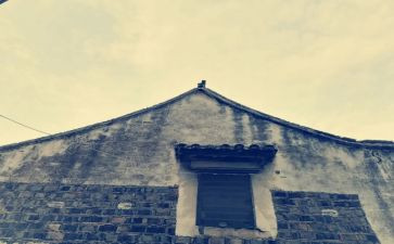 我走过的2024年作文精选8篇