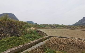 最新房屋租赁合同范本模板6篇