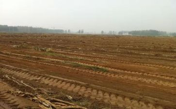 公司租赁房屋合同推荐8篇