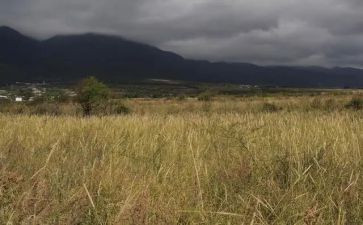 简约版房屋租赁合同5篇