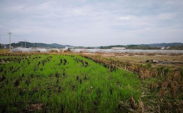 建筑物资租赁合同精选5篇